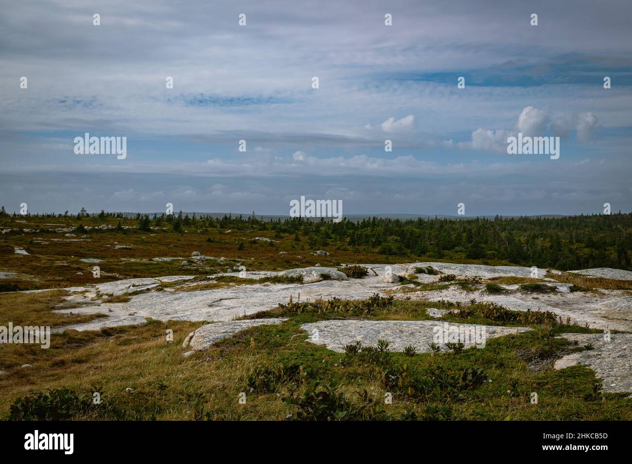 Duncan's Cove Nature Reserve Foto Stock