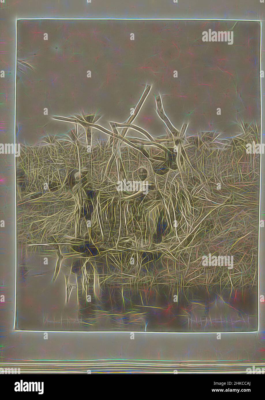 Ispirati da due uomini stanno pompando acqua in salita per irrigare la terra, Chadouf n. 250, Un ragazzo e un uomo stanno pompando acqua mentre un terzo uomo sta mettendo acqua. Un campo di canna da zucchero è visibile sullo sfondo., G. Lekegian, Egypte, c. 1880 - c. 1900, stampa albume, altezza 277 mm x larghezza 216 mm altezza 277 mm, Reimagined by Artotop. L'arte classica reinventata con un tocco moderno. Design di calda e allegra luminosità e di raggi di luce. La fotografia si ispira al surrealismo e al futurismo, abbracciando l'energia dinamica della tecnologia moderna, del movimento, della velocità e rivoluzionando la cultura Foto Stock
