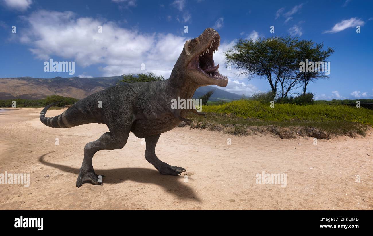 3D rendering di un dinosauro Tyrannosaurus Rex del periodo cretaceo in piedi e ruggente in una scena paesaggistica. Foto Stock