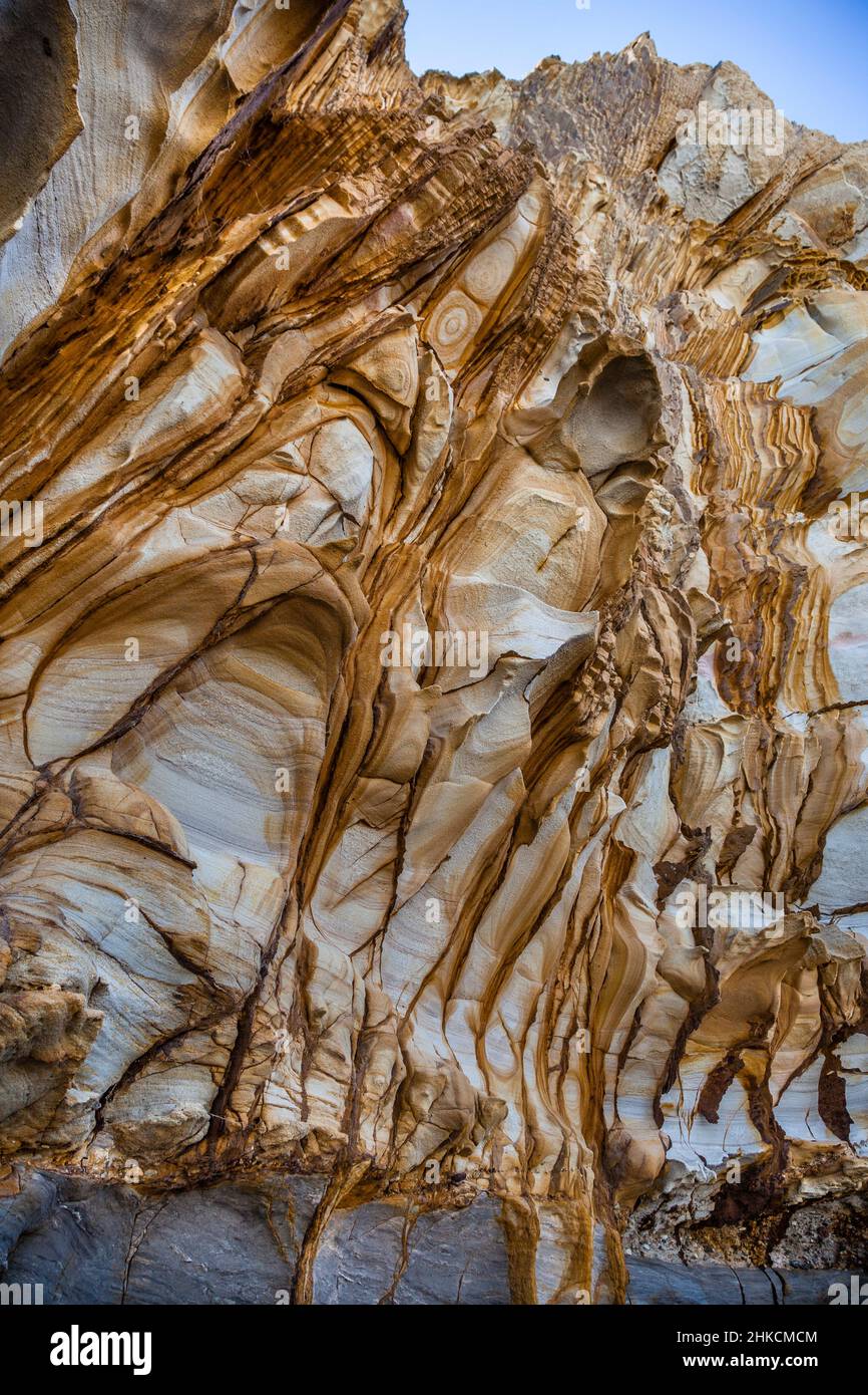 Strati sedimentari verticali a Bouddi Point, Maitland Bay, Bouddi National Park, Central Coast, New South Wales, Australia Foto Stock