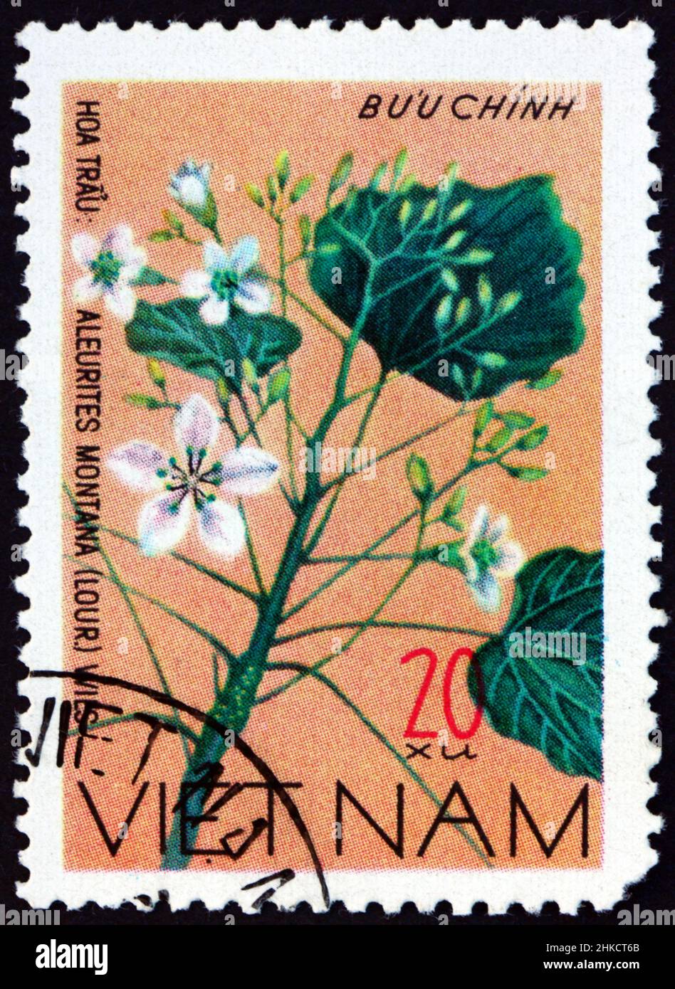 VIETNAM - CIRCA 1977: Un francobollo stampato in Vietnam mostra l'albero di olio mu, aleurites montana, è un albero deciduo di medie dimensioni nativo del sud-est asiatico, circ Foto Stock