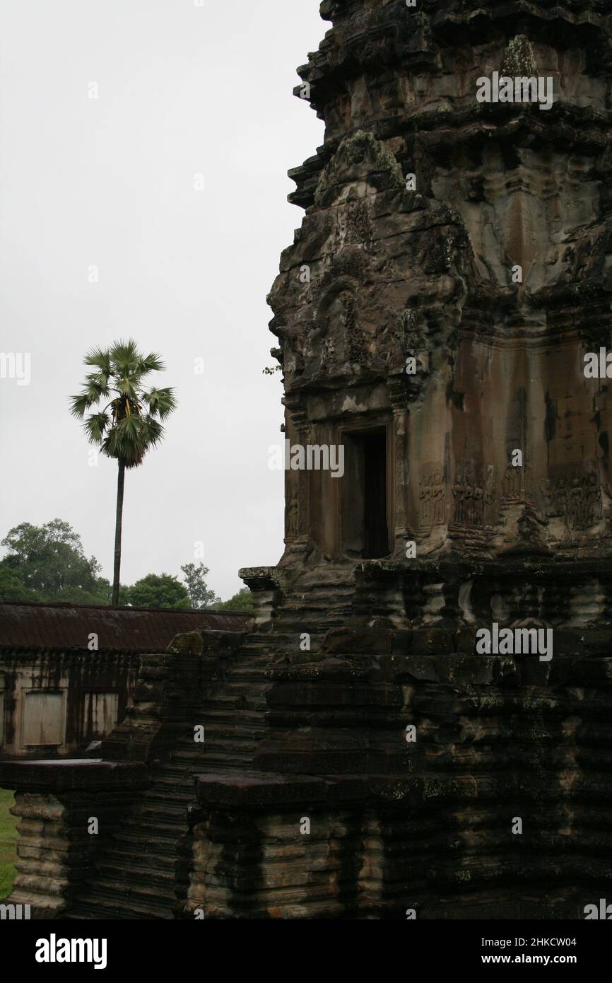 Cambogia - scena Angkor Wat con una bella palma nella parte posteriore Foto Stock