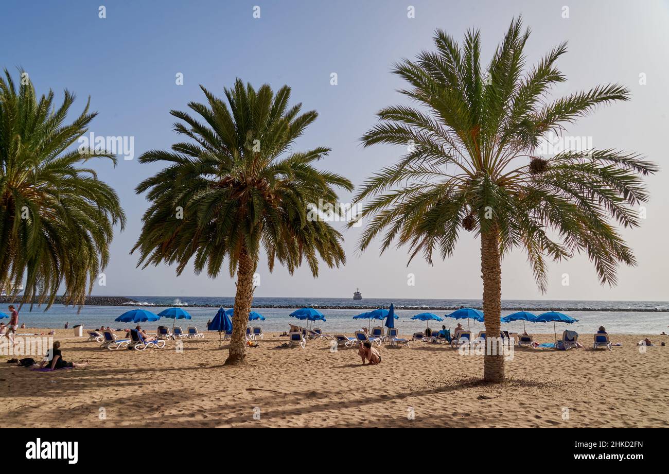 Palmen und Urlauber am Strand Playa de Las Teresitas, Nord-tenero, tenero, Kanarische Inseln, Spanien Foto Stock
