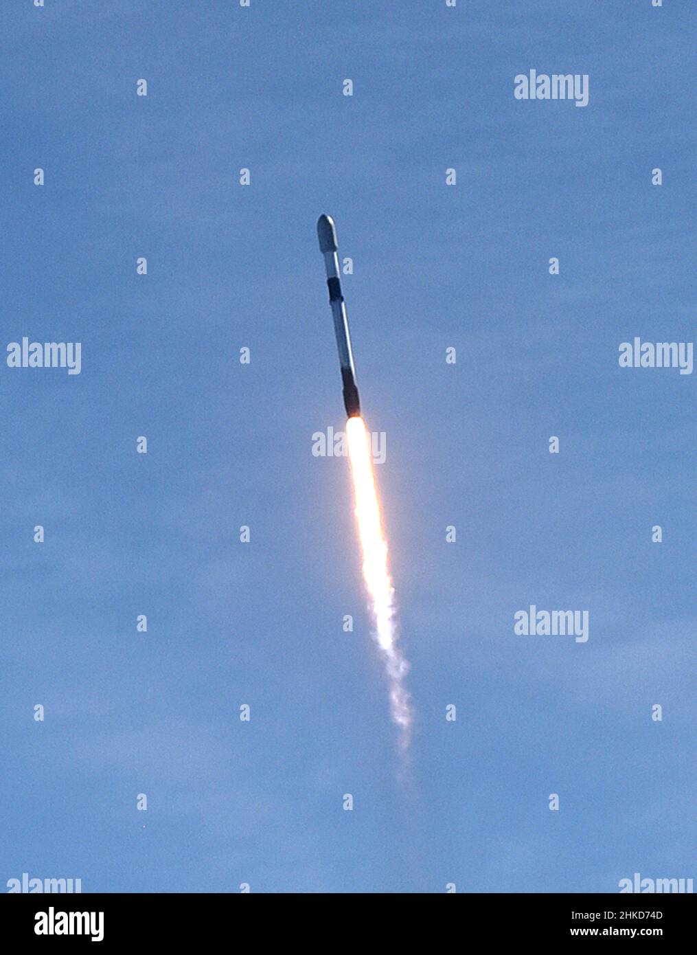 Cape Canaveral, Stati Uniti. 03rd Feb 2022. Come visto dal Canaveral National Seashore, un razzo SpaceX Falcon 9 lancia dal pad 39A al Kennedy Space Center di Cape Canaveral, Florida. Il razzo trasporta 49 satelliti Internet Starlink per una rete a banda larga. Credit: SOPA Images Limited/Alamy Live News Foto Stock