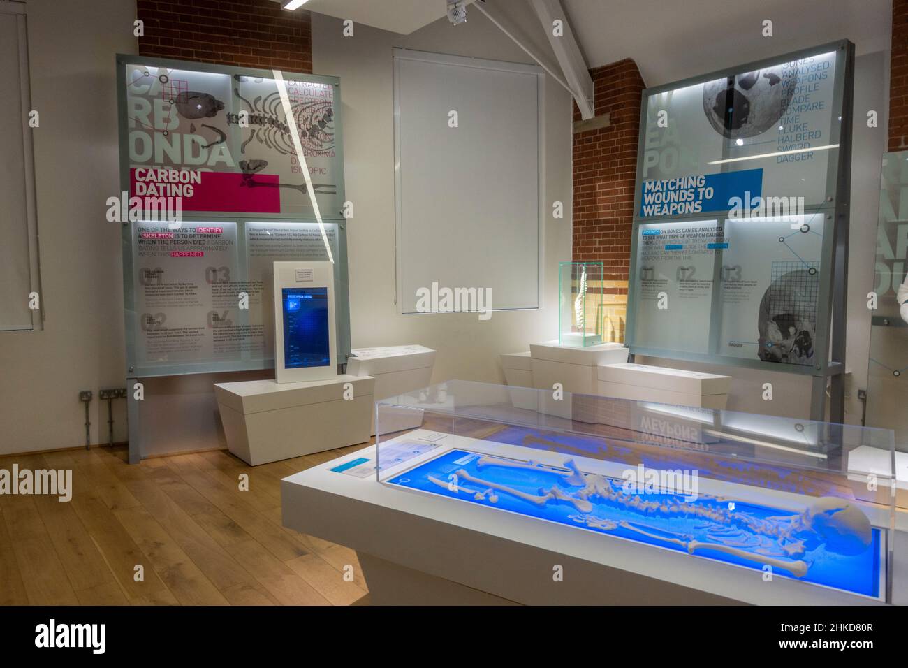 Vista generale delle esposizioni nel centro di visita del re Richard III, Leicester, Inghilterra. Foto Stock