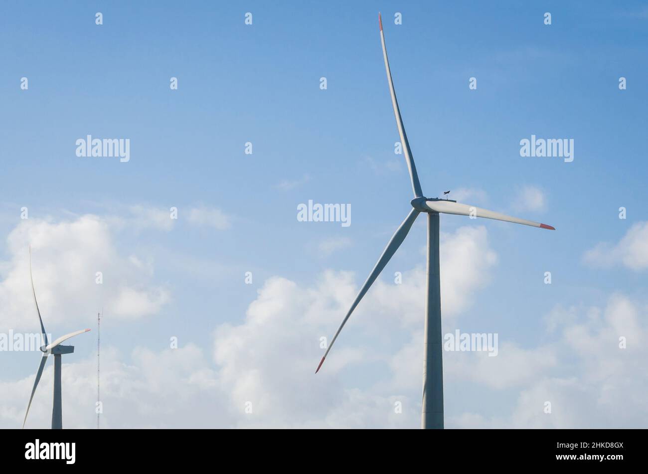 Mulini a vento durante la luminosa giornata estiva con cielo blu, concetto di energia pulita e rinnovabile. Foto Stock