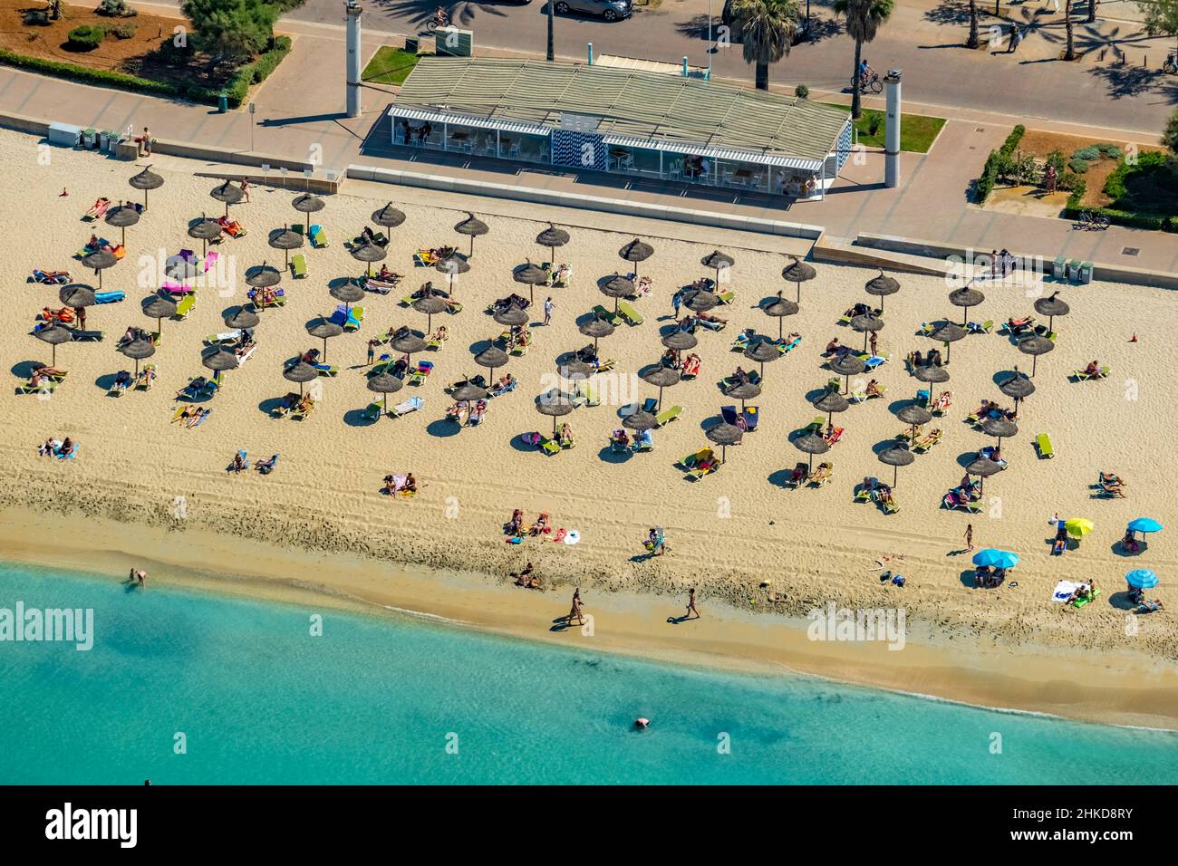 Vista aerea, spiaggia e sole con ombrelloni di paglia, S' Arenal, Palma, Maiorca, Isole Baleari, Spagna, bagnanti, ES, Europa, vista distante, sh Foto Stock