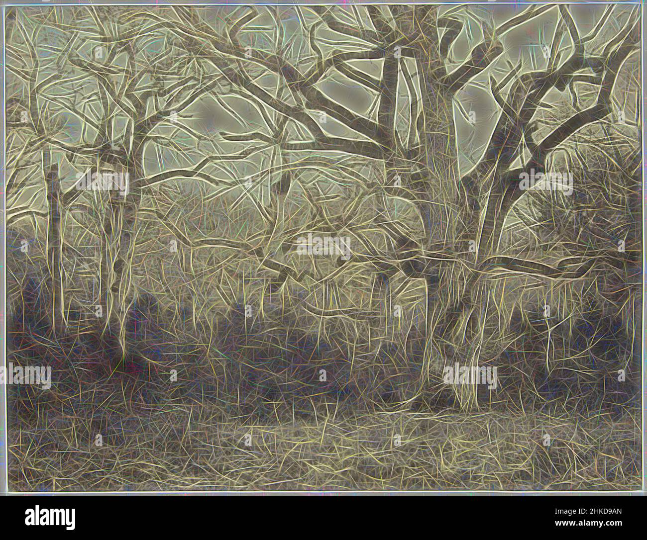 Ispirato dal paesaggio forestale in Francia, Eugène Cuvelier, Francia, 1860 - 1870, carta, Stampa albume, altezza 196 mm x larghezza 257 mm altezza 392 mm x larghezza 528 mm, Reimagined by Artotop. L'arte classica reinventata con un tocco moderno. Design di calda e allegra luminosità e di raggi di luce. La fotografia si ispira al surrealismo e al futurismo, abbracciando l'energia dinamica della tecnologia moderna, del movimento, della velocità e rivoluzionando la cultura Foto Stock