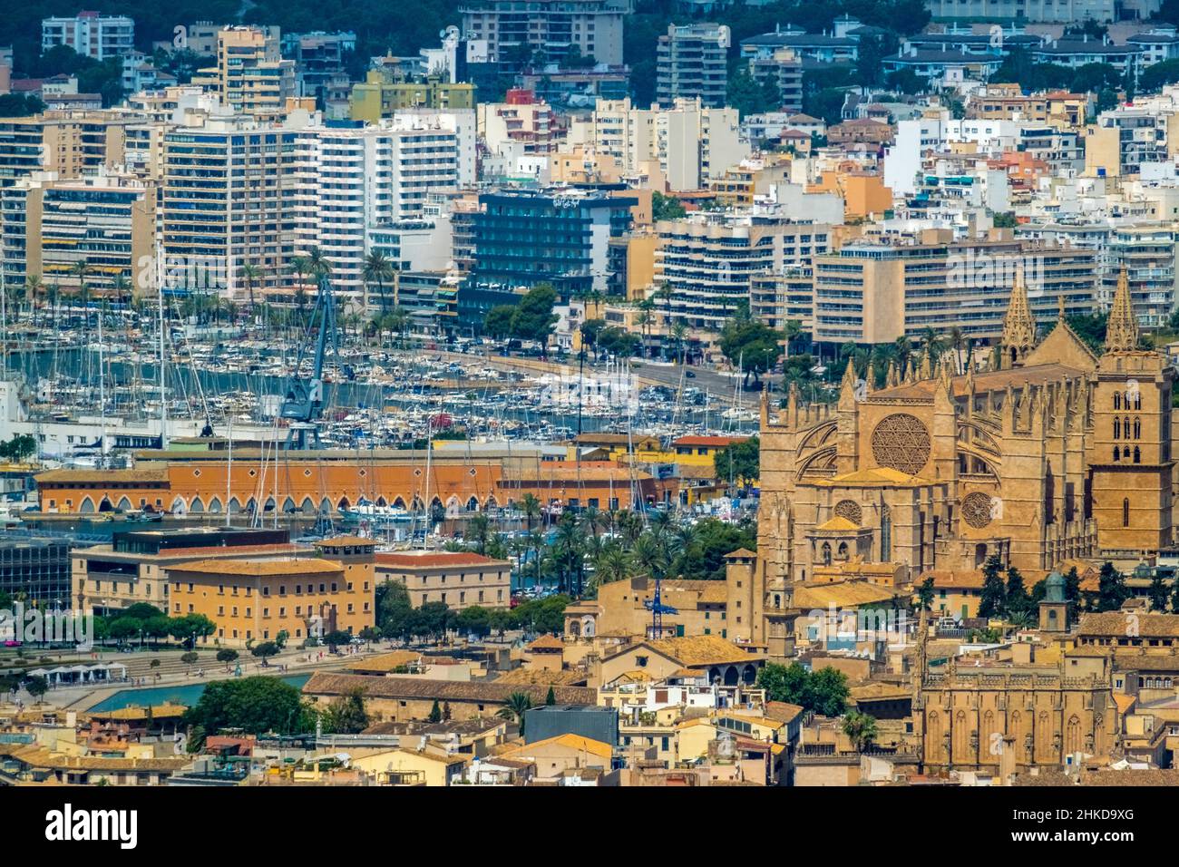 Veduta aerea, Chiesa di Santa Iglesia Catedral de Mallorca, Cattedrale di Palma, Puerto de Palma, Porto di Palma in background, Palma, Maiorca, Baleari is Foto Stock
