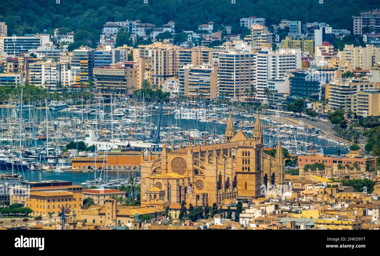 Veduta aerea, Santa Iglesia Catedral de Mallorca , Chiesa, Cattedrale di Palma, Puerto de Palma, Porto di Palma sullo sfondo, Palma di Maiorca, Baleari Foto Stock