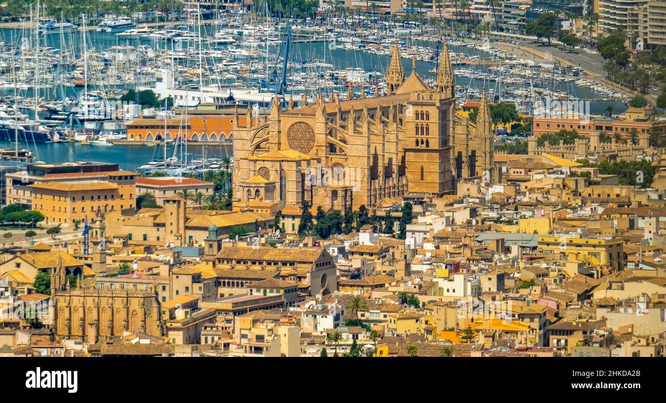 Veduta aerea, Chiesa di Santa Iglesia Catedral de Mallorca, Cattedrale di Palma, Puerto de Palma, Porto di Palma in background, Palma, Maiorca, Baleari is Foto Stock