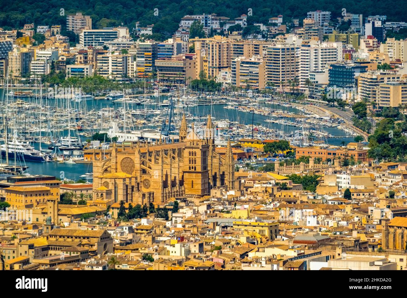 Veduta aerea, Chiesa di Santa Iglesia Catedral de Mallorca, Cattedrale di Palma, Puerto de Palma, Porto di Palma in background, Palma, Maiorca, Baleari is Foto Stock