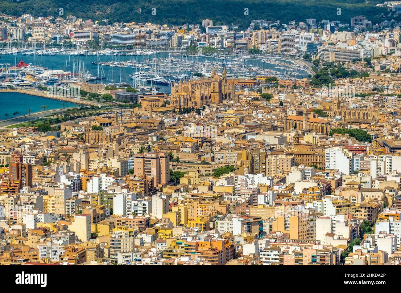 Veduta aerea, Chiesa di Santa Iglesia Catedral de Mallorca, Cattedrale di Palma, Puerto de Palma, Porto di Palma in background, Palma, Maiorca, Baleari is Foto Stock