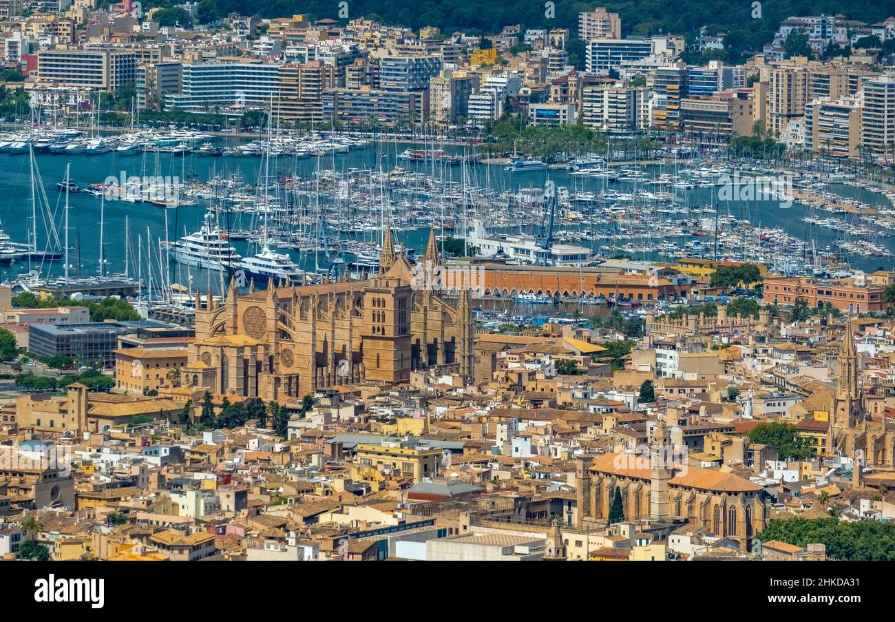 Veduta aerea, Chiesa di Santa Iglesia Catedral de Mallorca, Cattedrale di Palma, Puerto de Palma, Porto di Palma in background, Palma, Maiorca, Baleari is Foto Stock