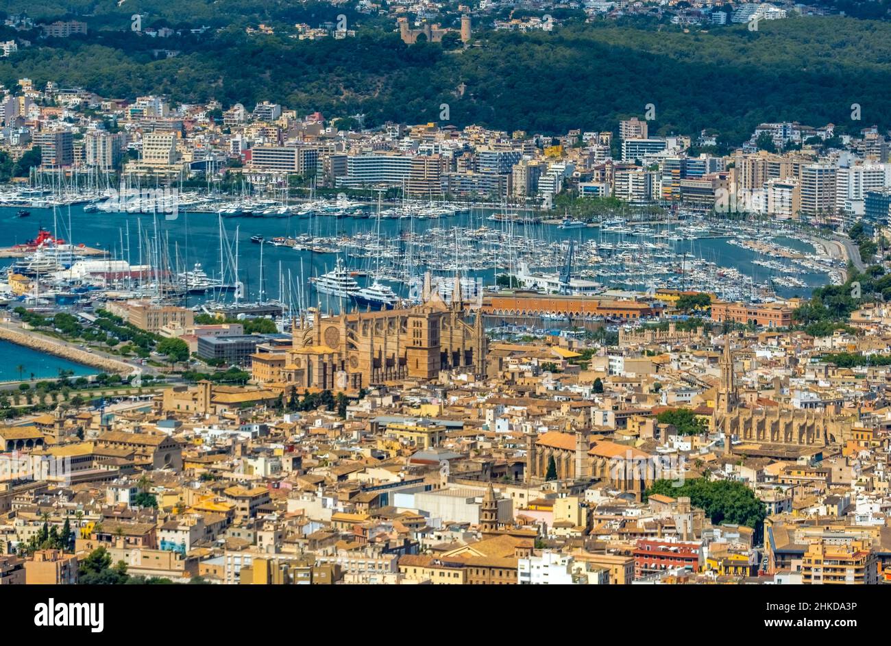 Veduta aerea, Chiesa di Santa Iglesia Catedral de Mallorca, Cattedrale di Palma, Puerto de Palma, Porto di Palma in background, Palma, Maiorca, Baleari is Foto Stock