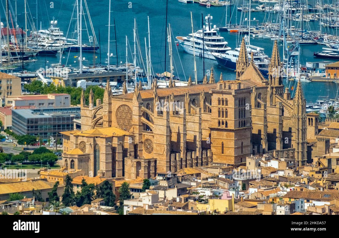 Veduta aerea, Chiesa di Santa Iglesia Catedral de Mallorca, Cattedrale di Palma, Puerto de Palma, Porto di Palma in background, Palma, Maiorca, Baleari is Foto Stock