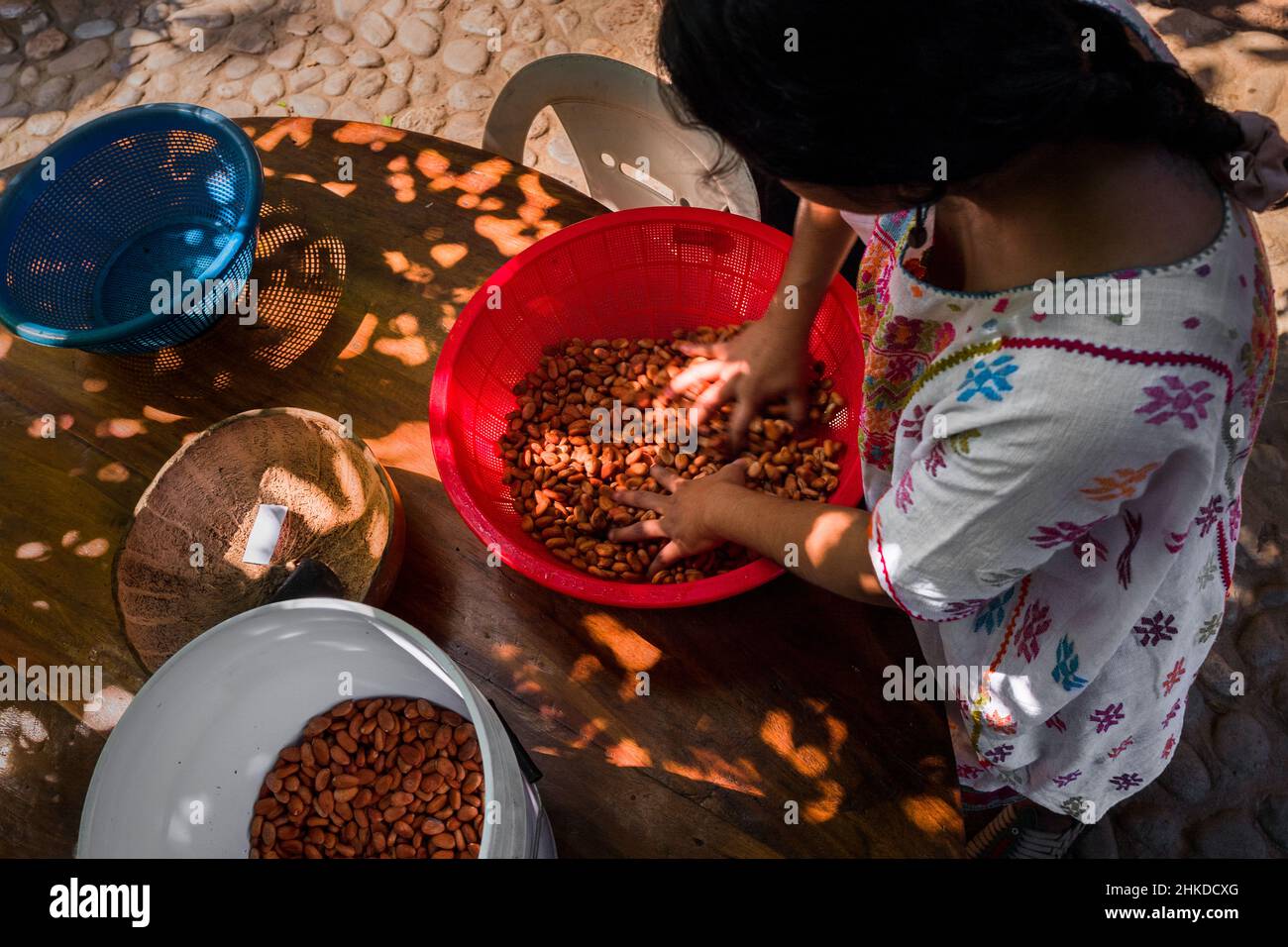 Una donna indigena di Amuzgo ispeziona i fagioli di cacao secchi e lavati prima di tostarli nella produzione artigianale di cioccolato a Xochistlahuaca, Messico. Foto Stock