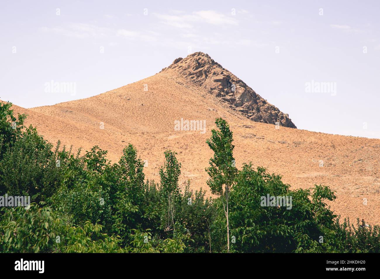 iran meridionale Foto Stock