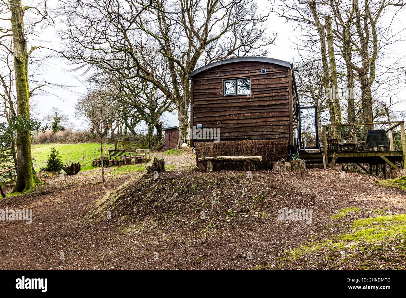 Rifugio Shepherd in un ambiente boschivo, South Devon, U.K. Foto Stock