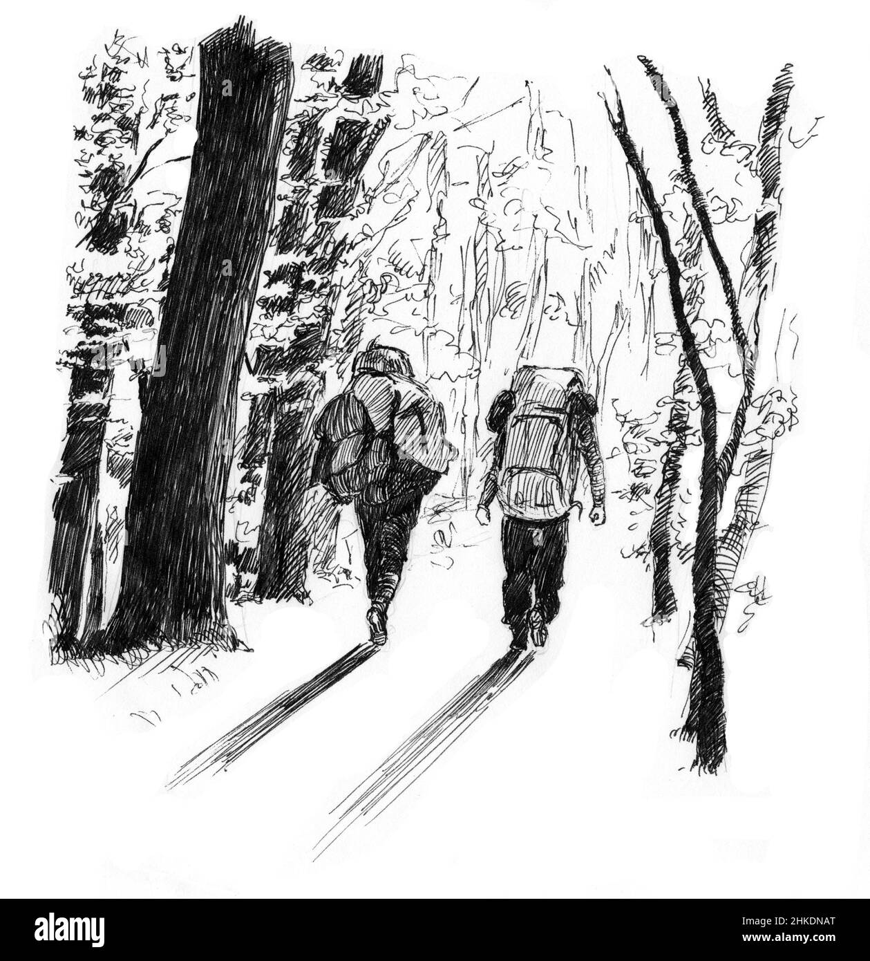 Due persone con grandi zaini camminano attraverso la foresta. Disegno con penna in bianco e nero. Figura. Foto Stock