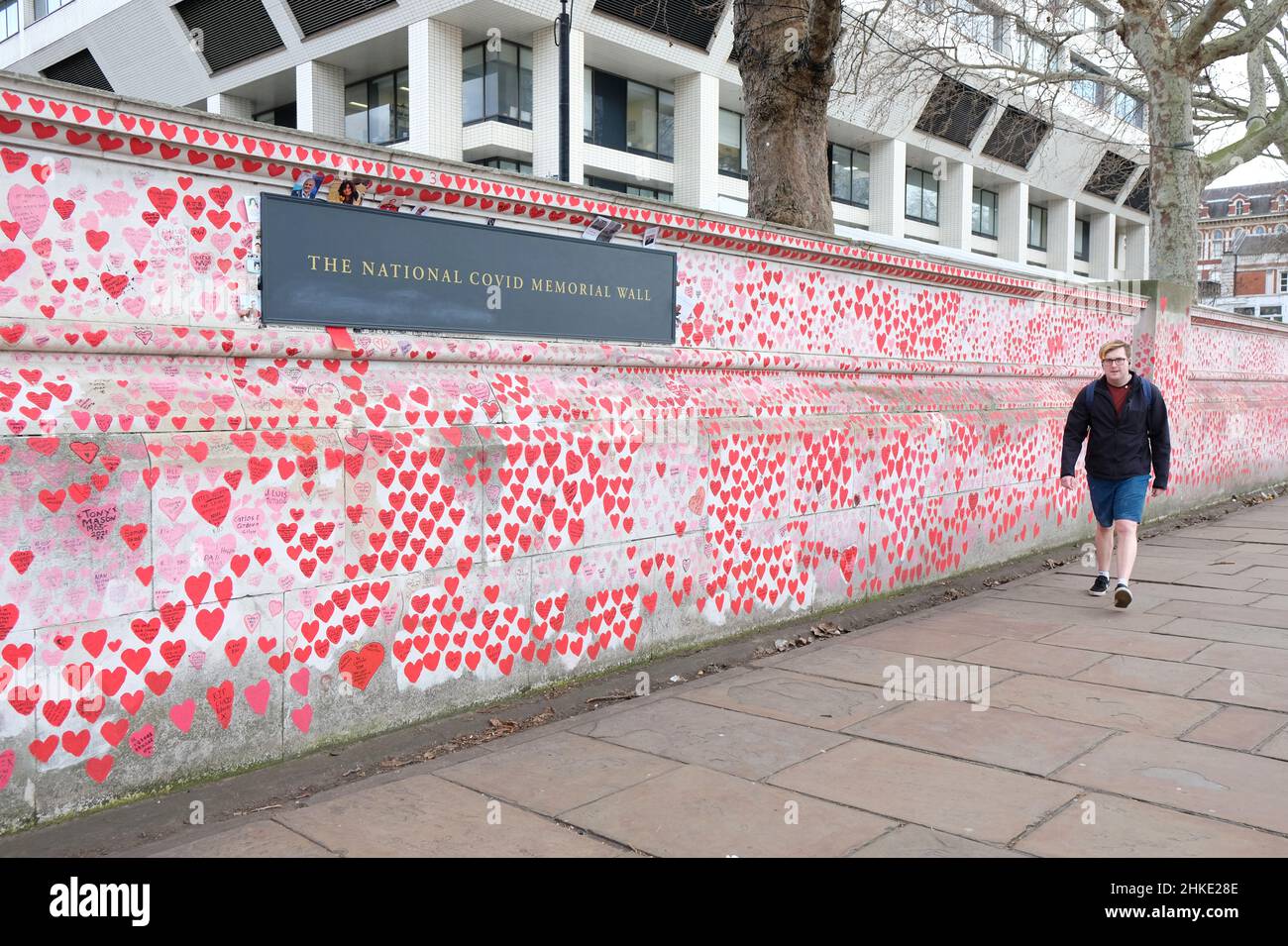 Londra, Regno Unito. I cuori ridisegnati di recente lungo il National Covid Memorial Wall lungo il Tamigi dall'ospedale St Thomas'. Foto Stock