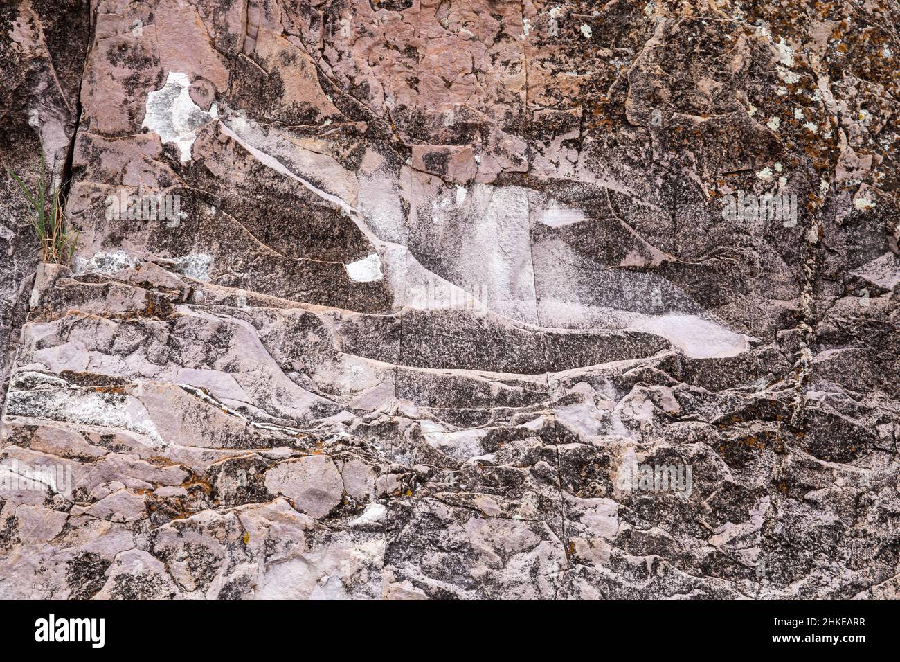 Roccia ignea incrostata di lichen per una texture di fondo. Foto Stock