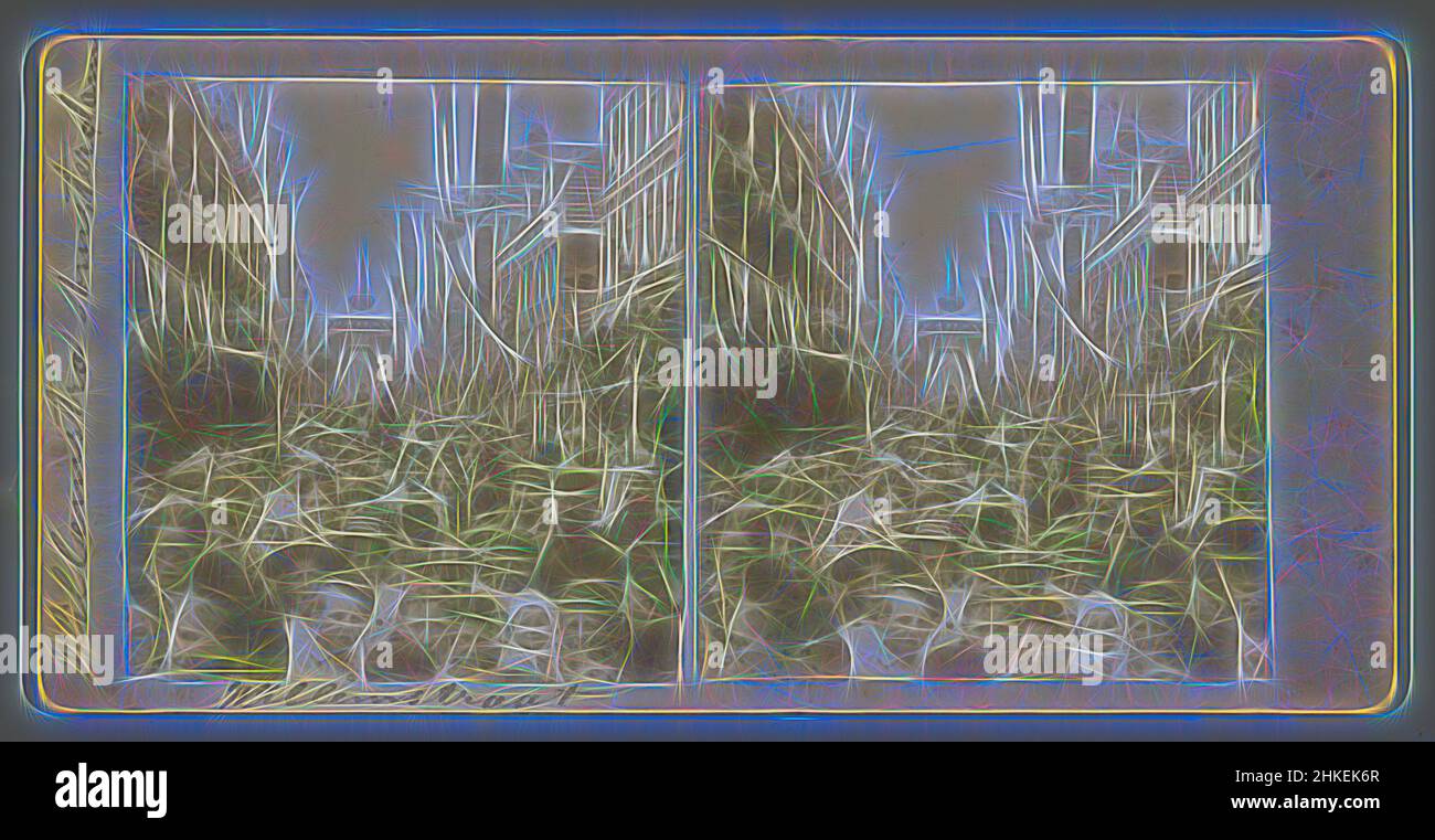 Ispirato da Willemstraat durante le feste di incoronazione della regina Wilhelmina ad Amsterdam, sconosciuto, 1898, altezza 78 mm x larghezza 146 mm altezza 89 mm x larghezza 177 mm, reinventato da Artotop. L'arte classica reinventata con un tocco moderno. Design di calda e allegra luminosità e di raggi di luce. La fotografia si ispira al surrealismo e al futurismo, abbracciando l'energia dinamica della tecnologia moderna, del movimento, della velocità e rivoluzionando la cultura Foto Stock