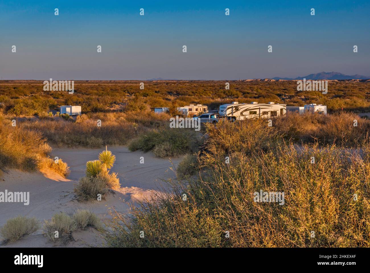 Camper al Chihuahuan Desert scrub, all'alba, area ricreativa Hot Well Dunes, Arizona, Stati Uniti Foto Stock