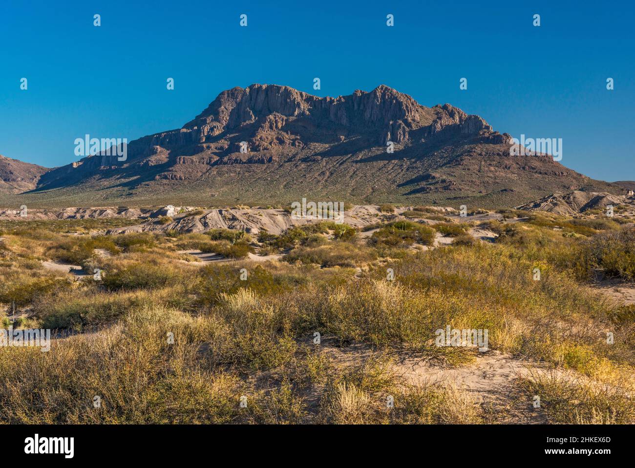 Massiccio del Javelina Peak, Whitlock Mountains, sopra la macchia del deserto di Chihuahuan, Hot Well Dunes Recreation Area, Arizona, Stati Uniti Foto Stock