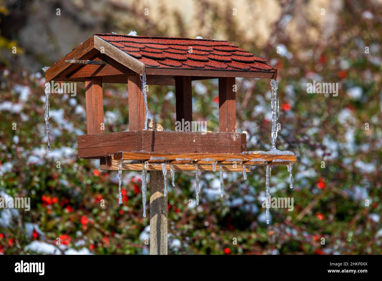birdhouse in legno fatto in casa, alimentatore di uccelli installato sul giardino d'inverno ghiacciato nevoso Foto Stock