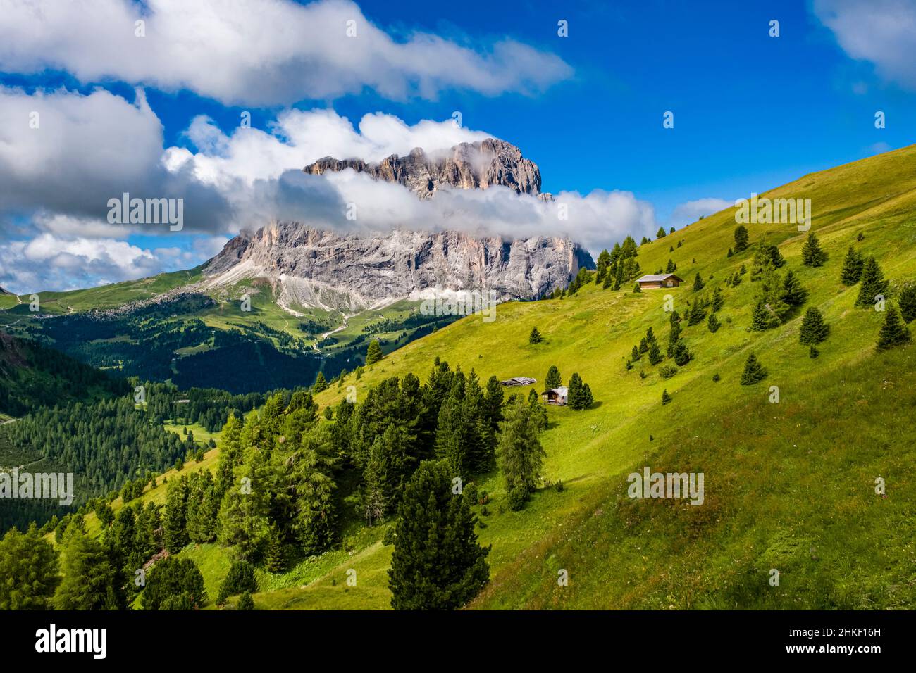 La faccia orientale di Saslonch, Sassolungo o Langkofel, vista dal Passo Gardena. Foto Stock