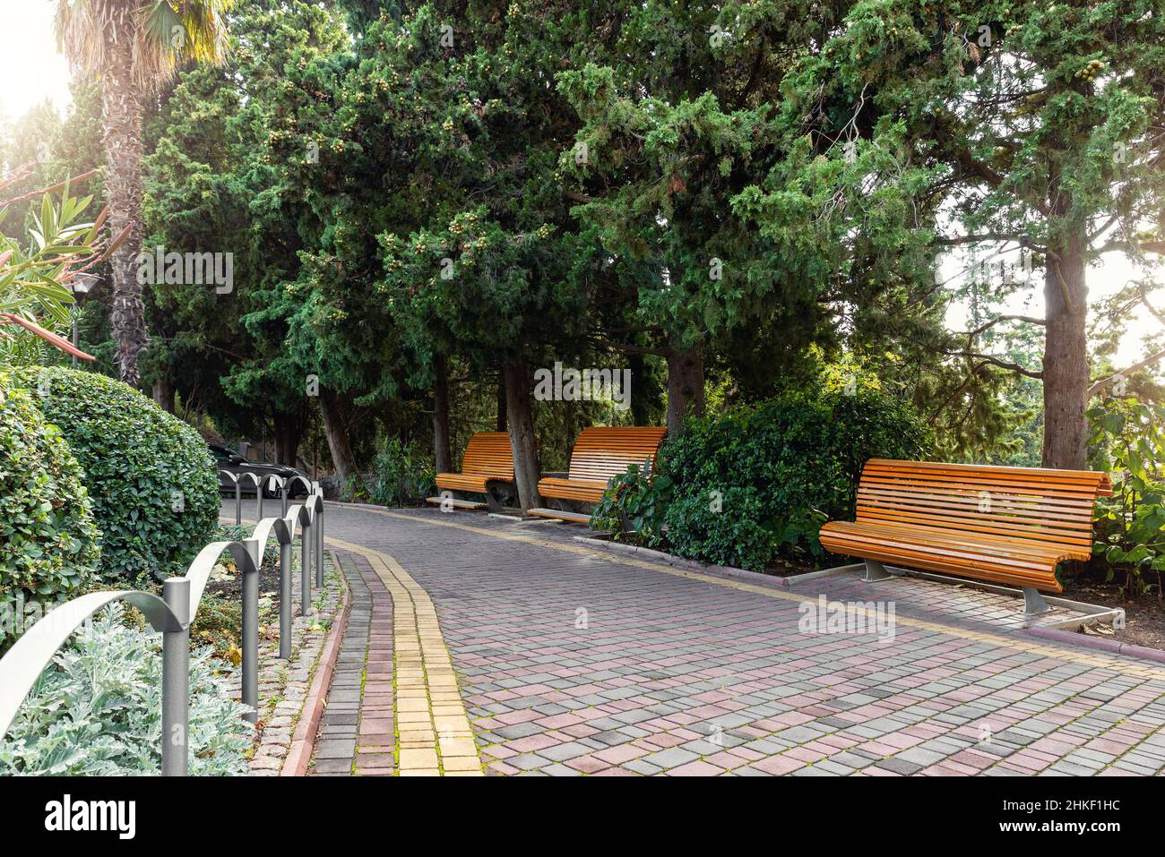 Vista panoramica di tranquillo giardino botanico verde ornamentale con fila di molte panchine di legno vuote e passerella lastricata. Città pubblica naturale Foto Stock