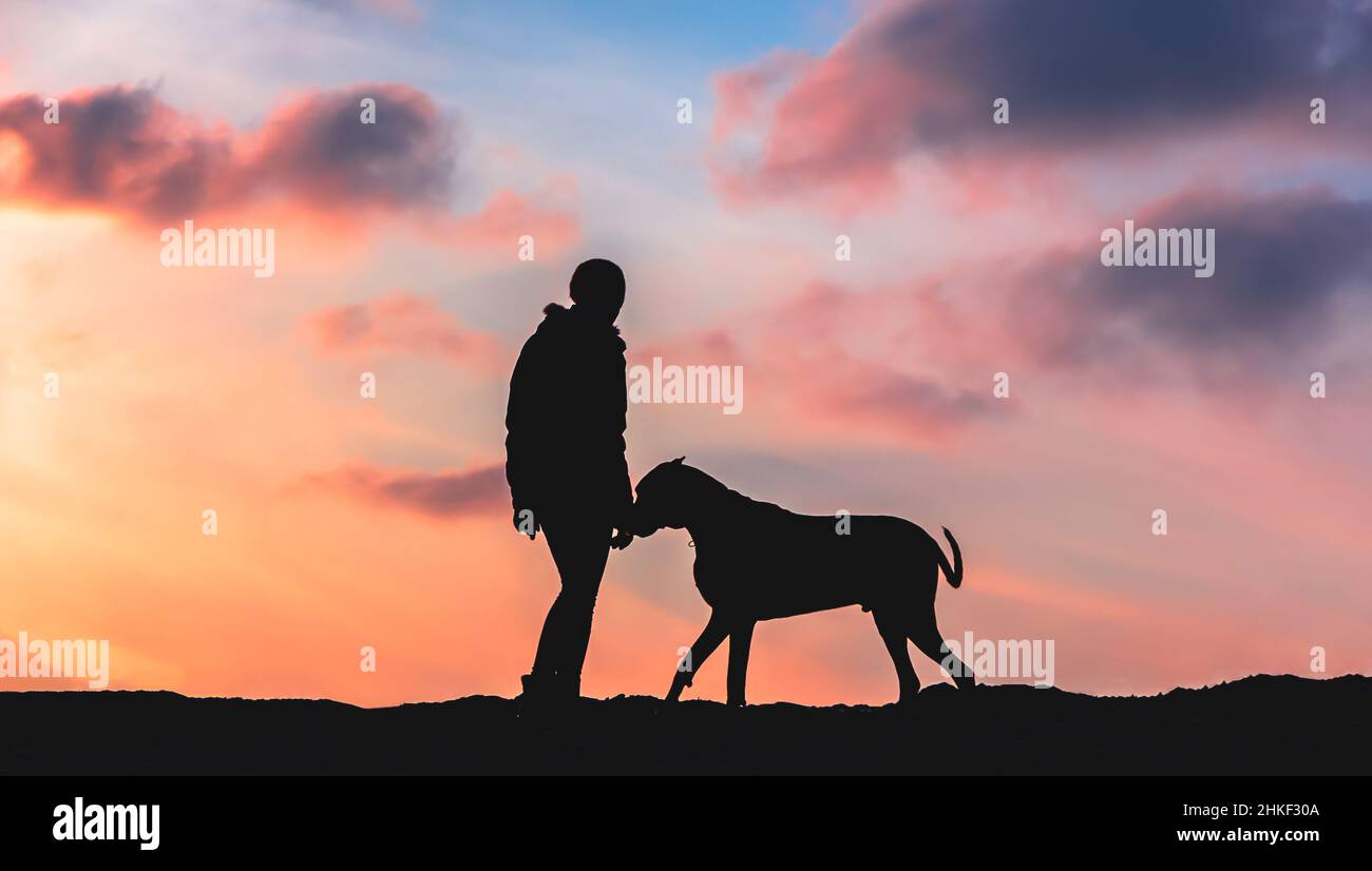 Silhouette di una ragazza con un cane grande al tramonto Foto Stock