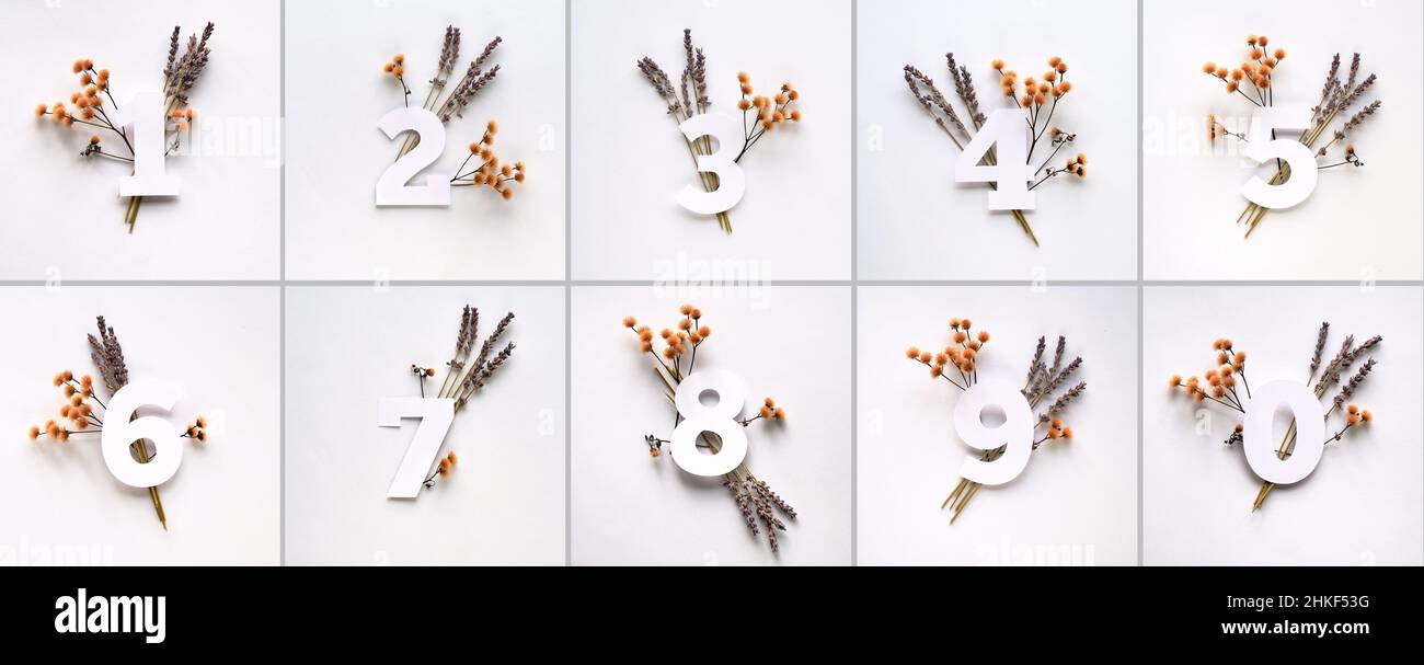 Numeri con erba secca e fiori di lavanda. Numeri uno a dieci con decorazioni floreali su carta bianca. Foto Stock