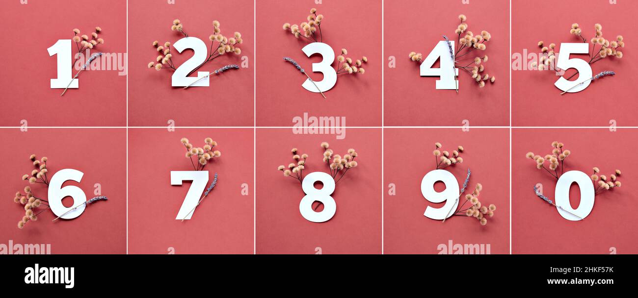 Numeri con erba secca, fiori di lavanda. Numeri da uno a dieci su carta rossa. Foto Stock
