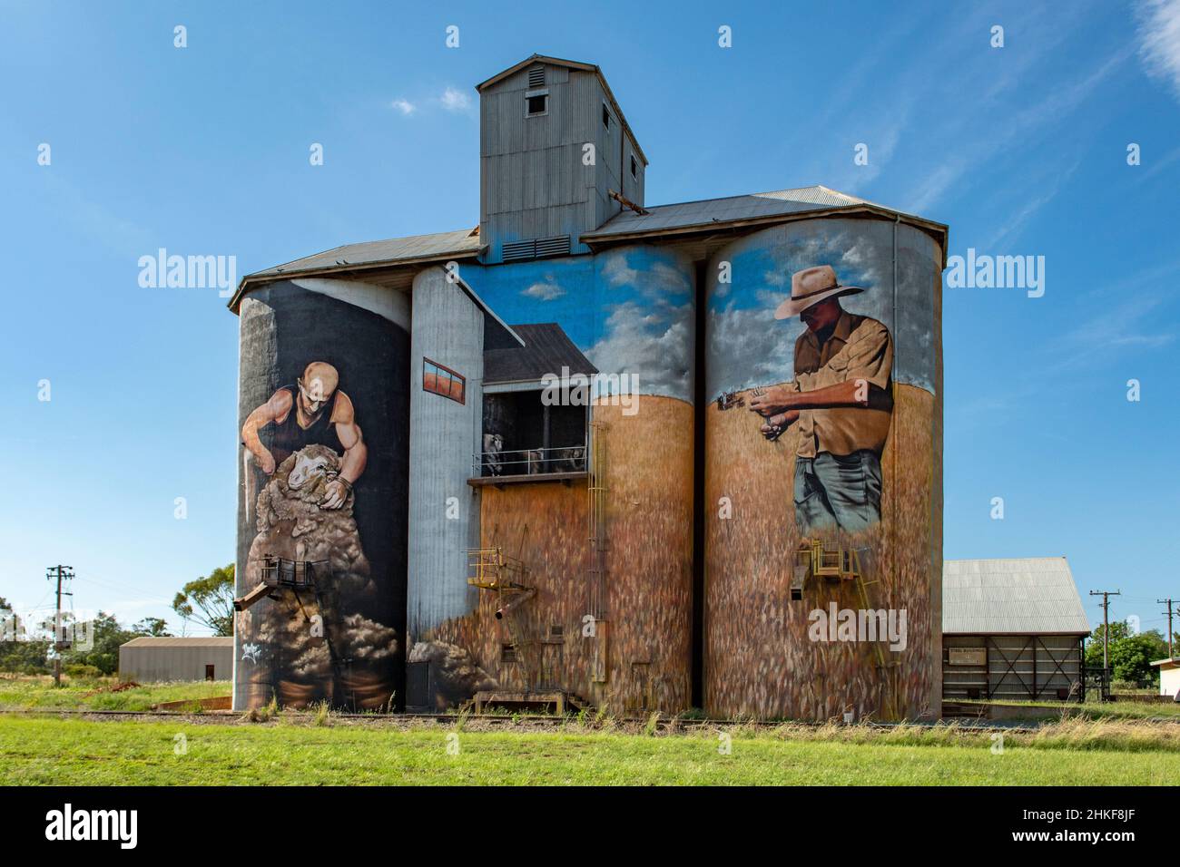 Silo Art, Weethalle, NSW, Australia Foto Stock