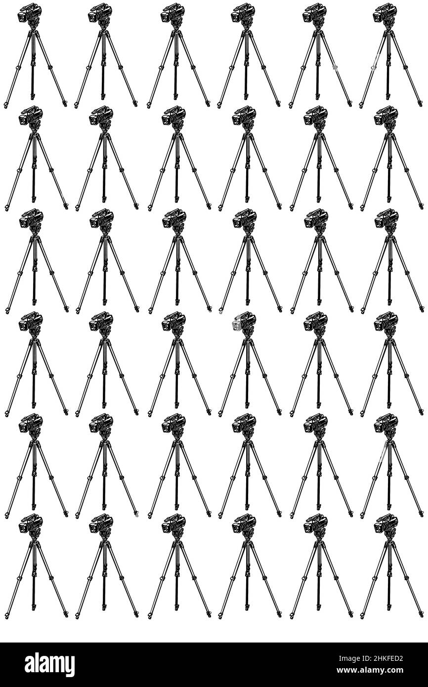 disegno vettoriale in bianco e nero di un Foto Stock disegno vettoriale in bianco e nero di un Foto Stock