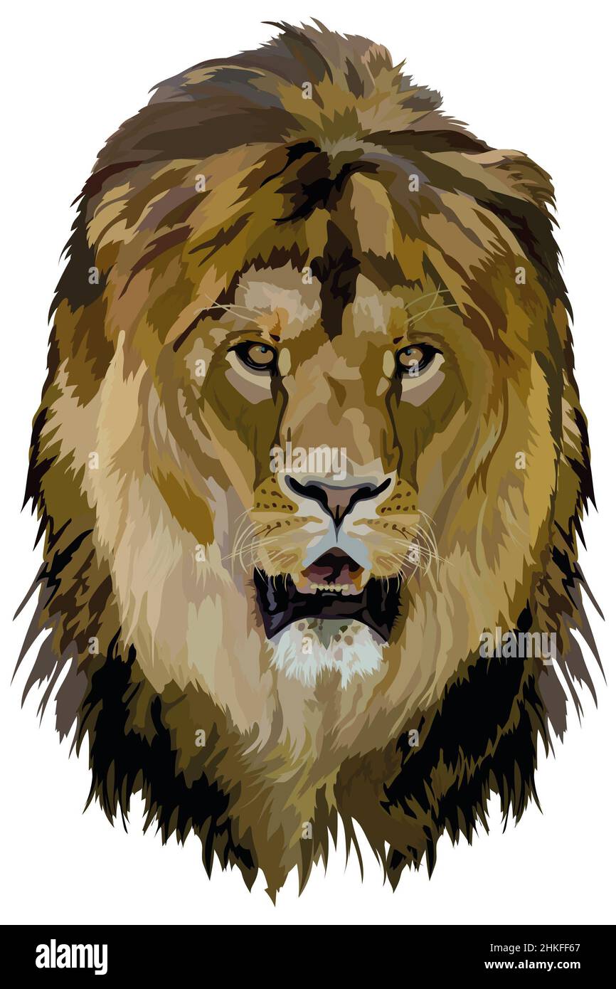 immagine vettoriale della testa di un animale, il re delle bestie leone su sfondo bianco Foto Stock