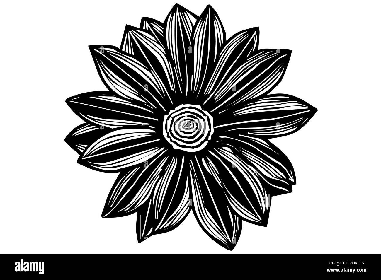 Disegno vettoriale bianco e nero fiore in fiore Foto Stock