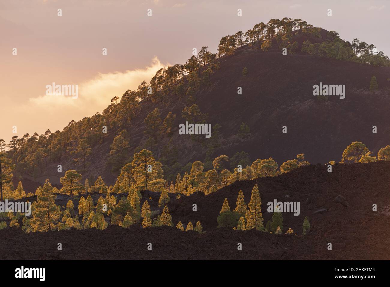 Spagna, Isole Canarie, Tenerife, mare di nuvole sul TF38 al tramonto Foto Stock