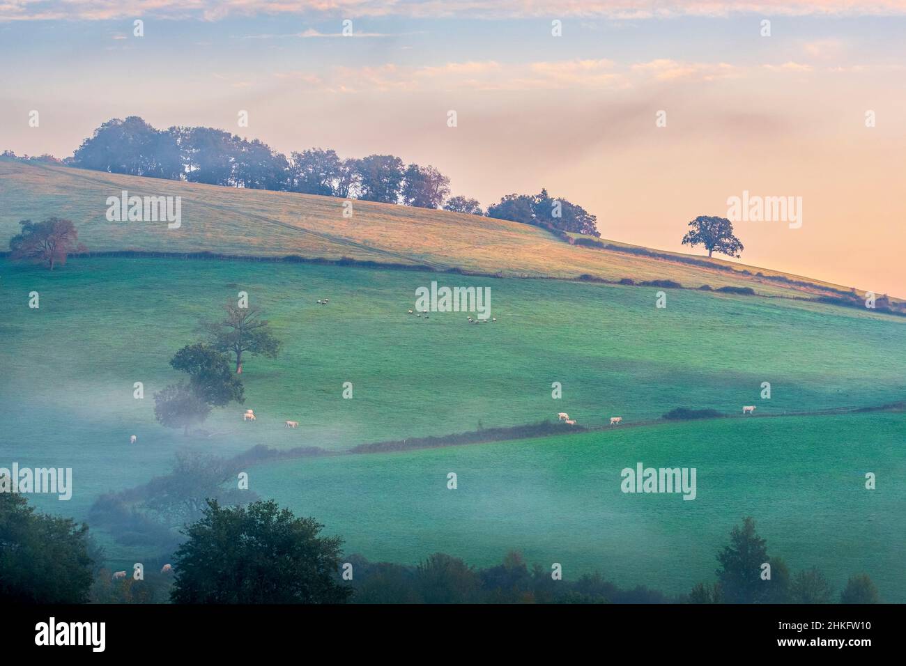 Francia, Pirenei Atlantici, Ostabat-ASME, tappa sulla via Lemovicensis o Vezelay, una delle vie principali per Santiago de Compostela Foto Stock