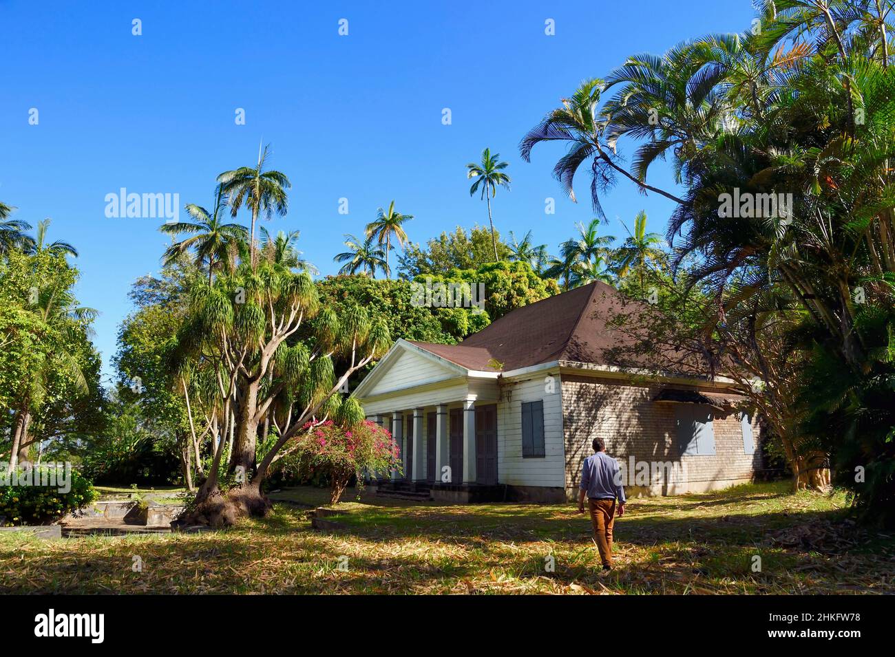 Francia, isola di Reunion (dipartimento francese d'oltremare), caso storico (casa) della piantagione di famiglia Isautier nelle altezze di Saint-Pierre, in primo piano a sinistra un albero chiamato piede di elefante (Beaucarnea recurvata) Foto Stock