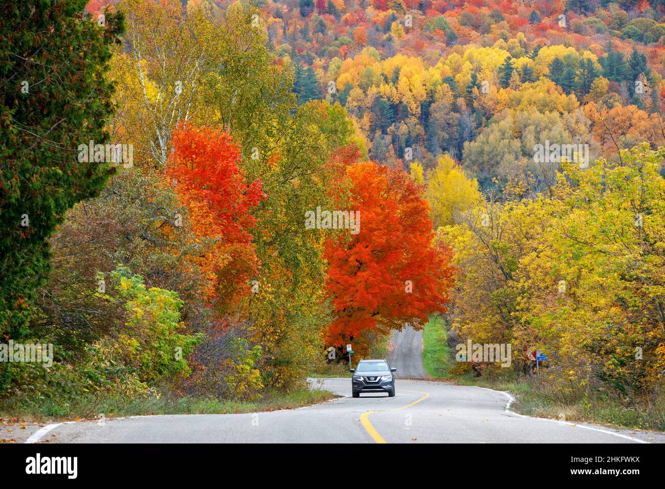 Canada, provincia di Quebec, Lanaudiere, colori caduta vicino al Parc Régional des Chutes Monte à Peine et des Dalles Foto Stock