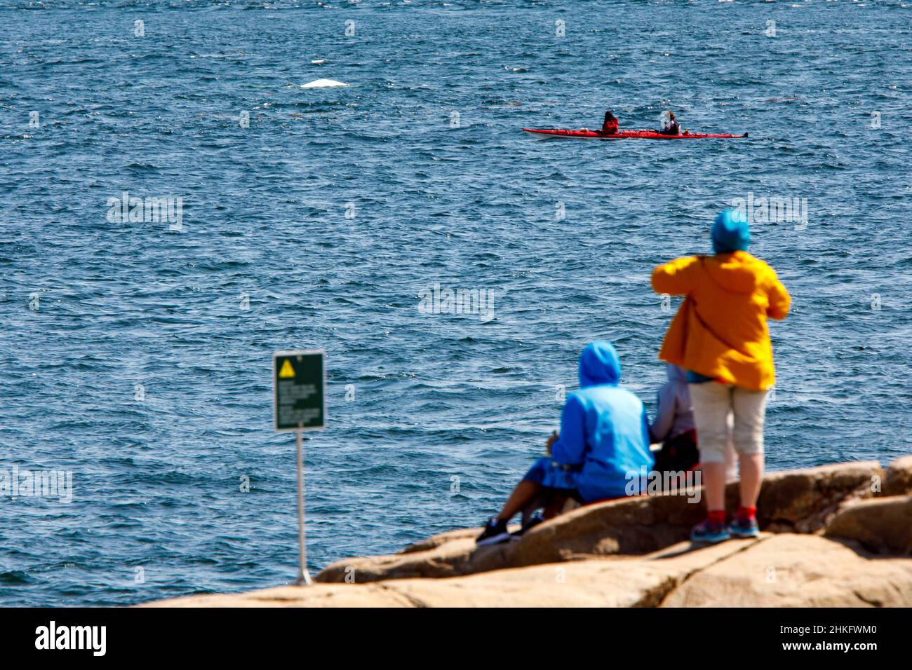 Canada, provincia del Quebec, Manicouagan, Grandes-Bergeronnes, il Cap-de-Bon-Desir Centro di interpretazione e osservazione, osservazione cetacea dalla riva, osservazione di un beluga Foto Stock