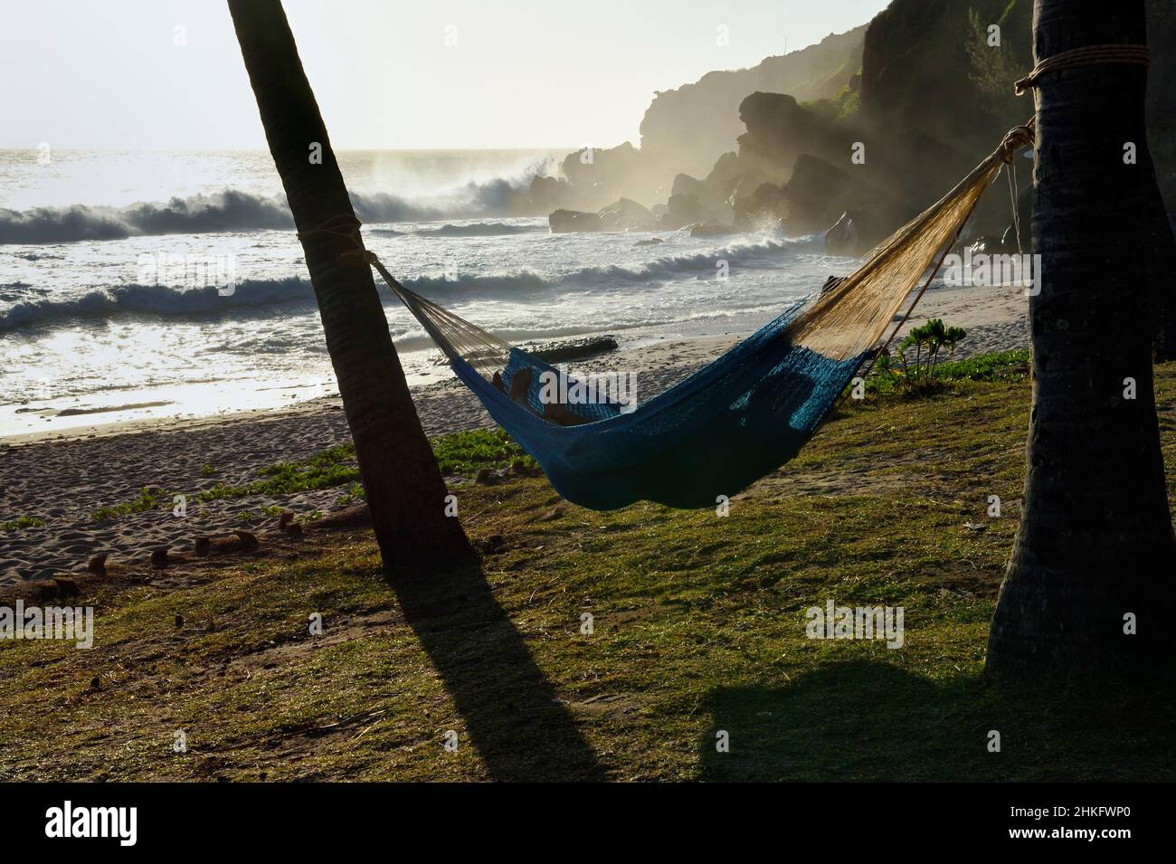 Francia, isola di Reunion (dipartimento francese d'oltremare), Petite-Ile sulla costa meridionale, spiaggia di Grande Anse, amaca distesa tra due palme Foto Stock