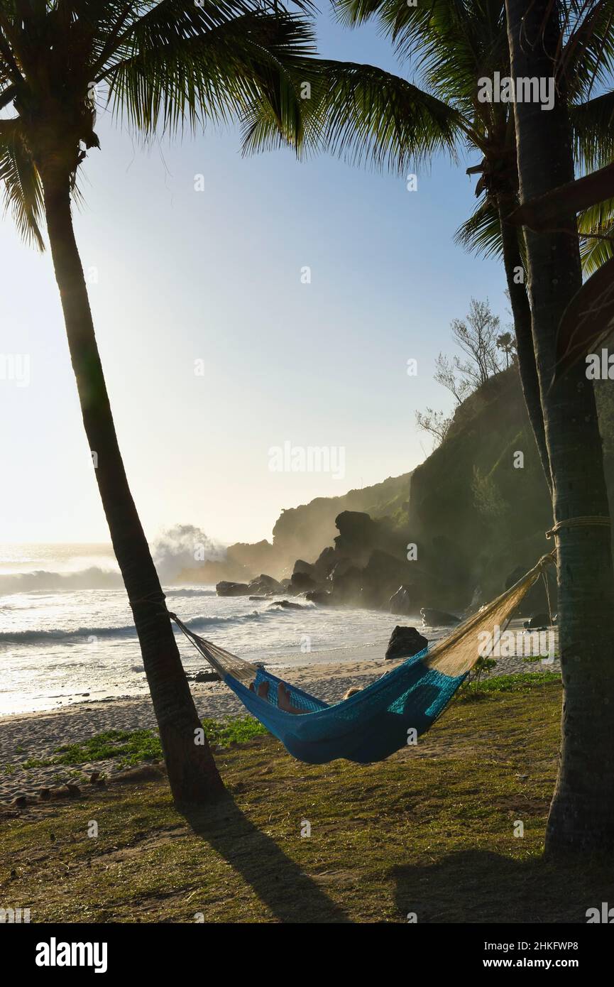 Francia, isola di Reunion (dipartimento francese d'oltremare), Petite-Ile sulla costa meridionale, spiaggia di Grande Anse, amaca distesa tra due palme Foto Stock