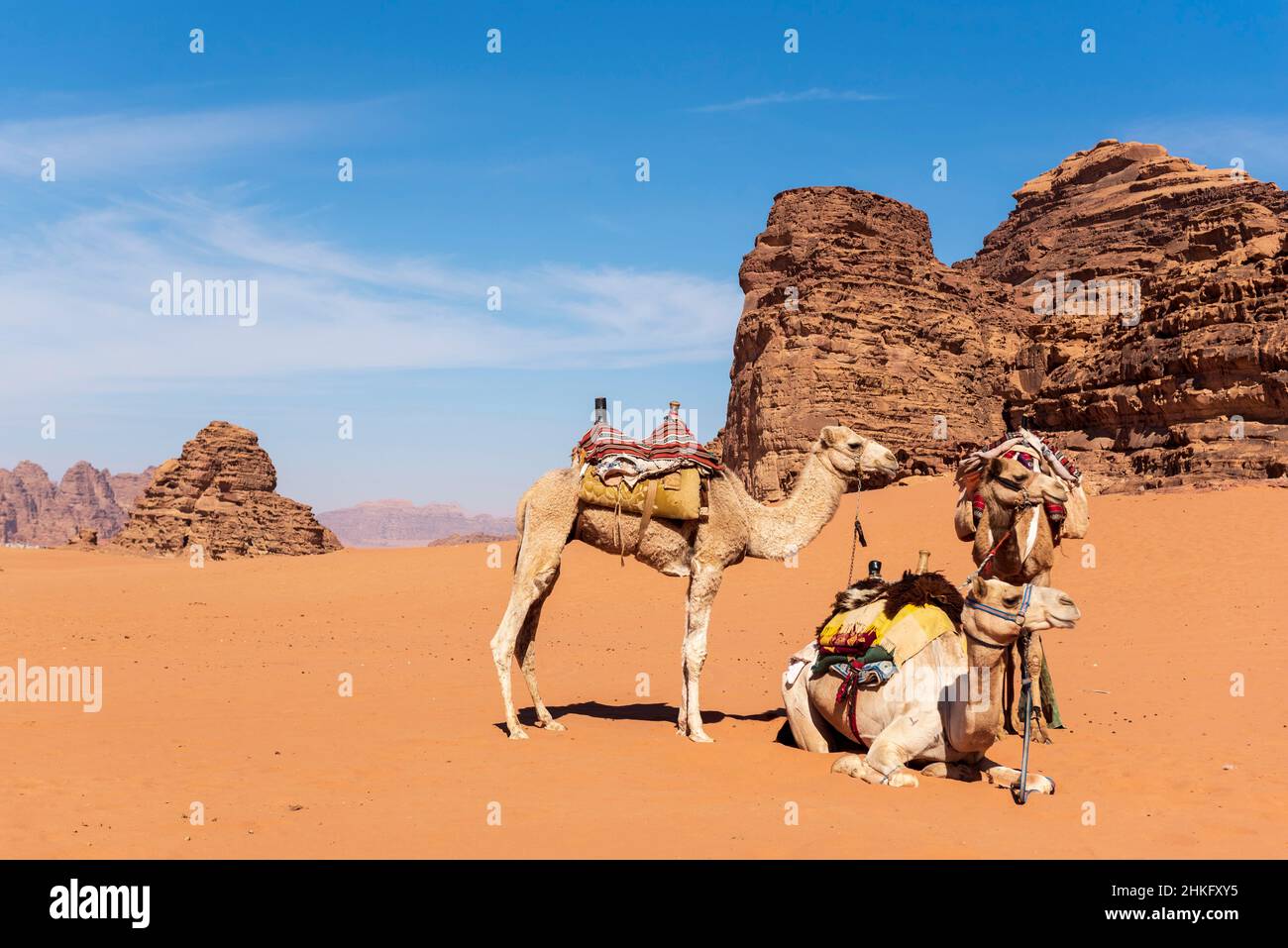 Giordania, governatorato di Aqaba, Wadi Rum, patrimonio mondiale dell'UNESCO, deserto, montagne, cammelli Foto Stock