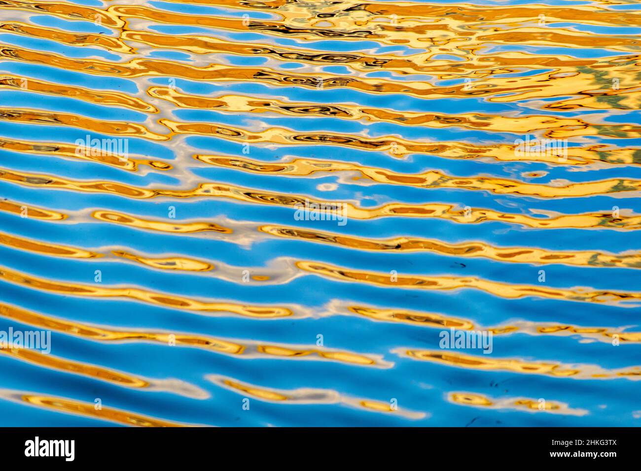 Blu e Giallo Foto Stock