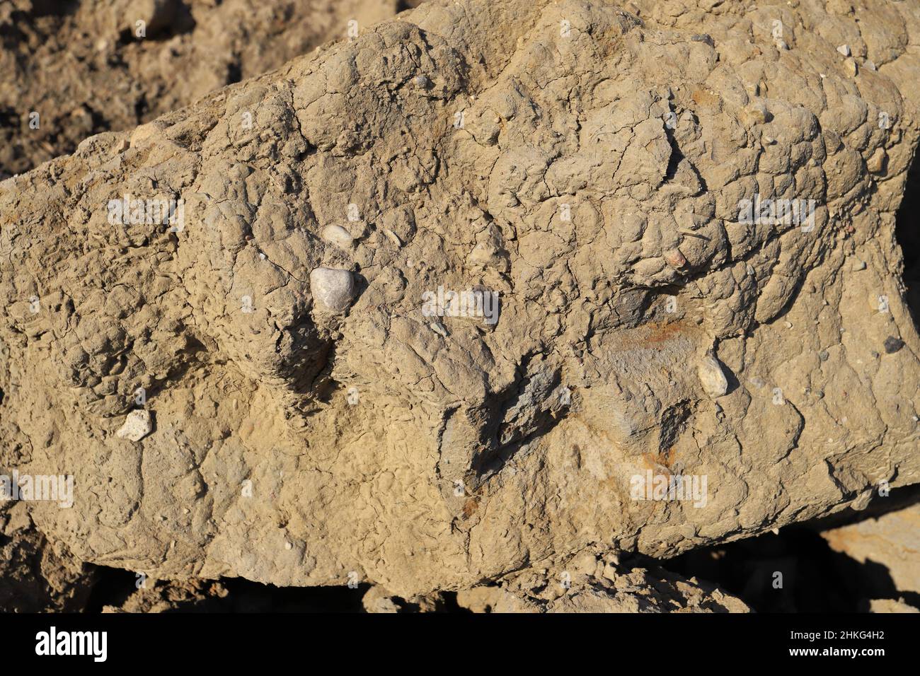 Terra di creta con pietre in parete Foto Stock