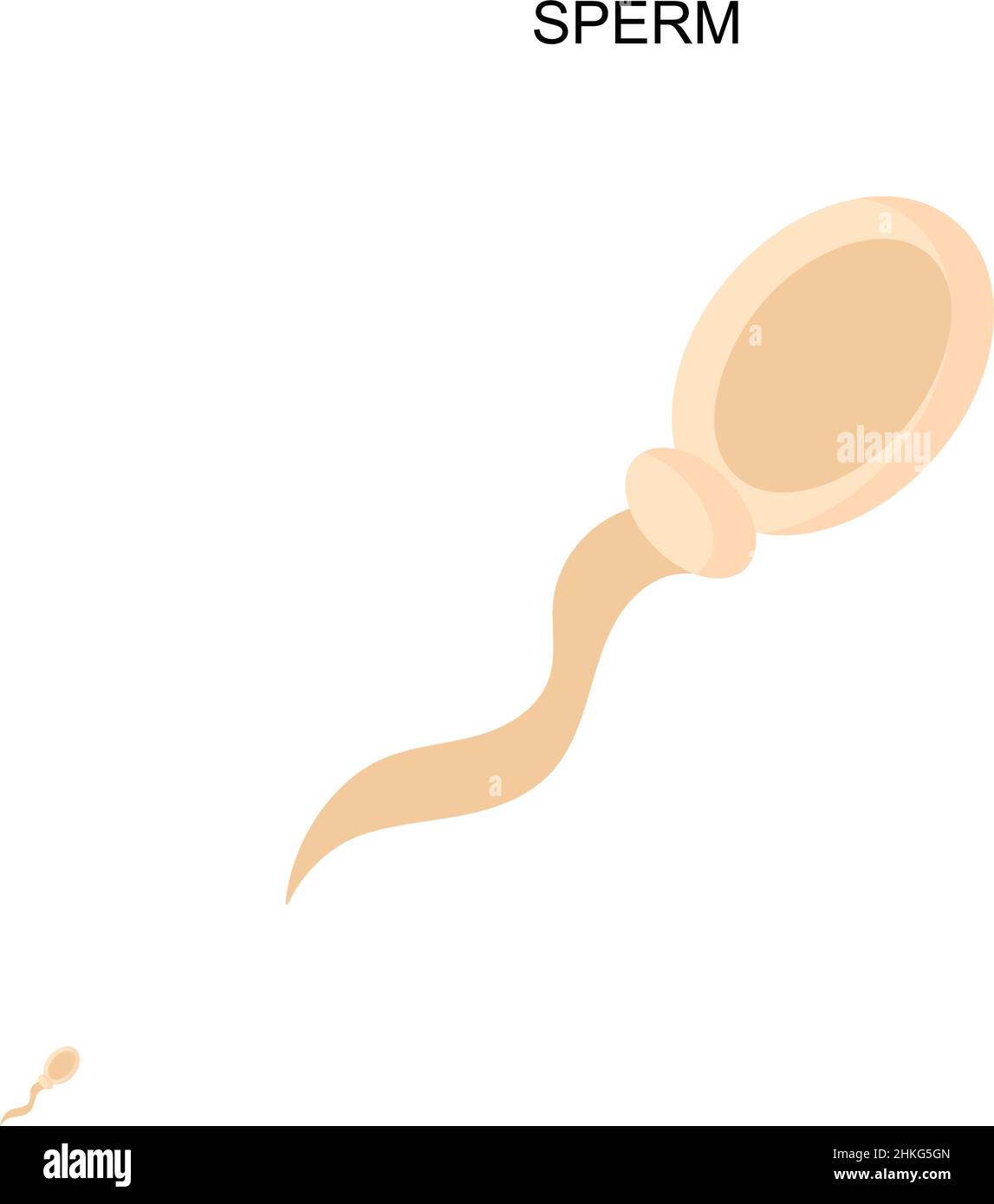 Icona del vettore semplice dello sperma. Modello di disegno del simbolo di illustrazione per l'elemento dell'interfaccia utente mobile Web. Illustrazione Vettoriale